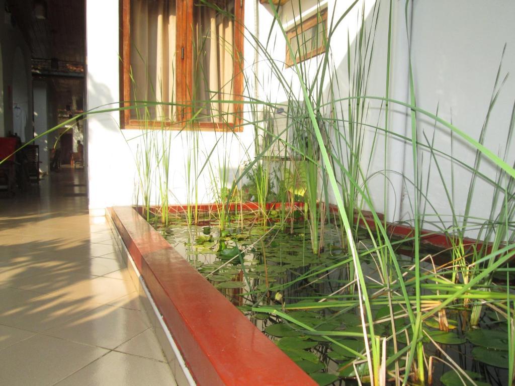 Tandem Guesthouse Hikkaduwa Buitenkant foto